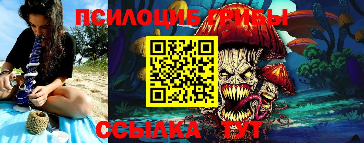 Галлюциногенные грибы Psilocybe  Псилоцибиновые грибы мицелий  Вход с VPN  Балашов 