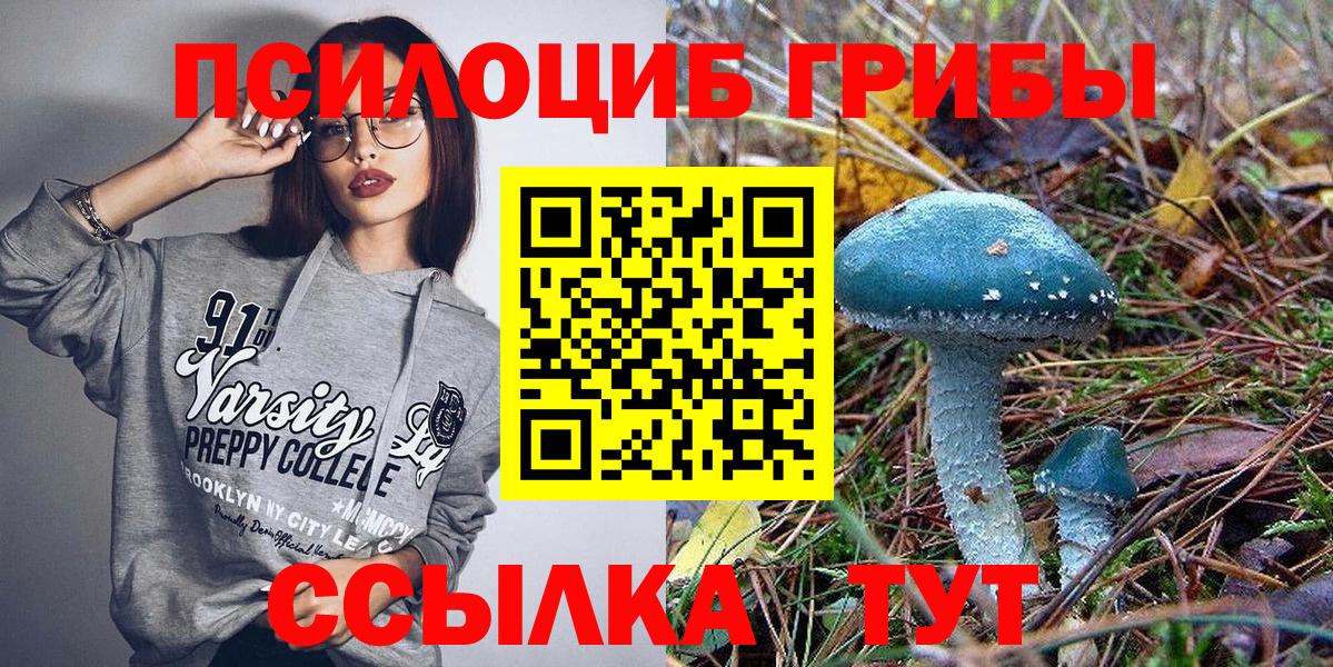 Псилоцибиновые грибы GOLDEN TEACHER Балашов