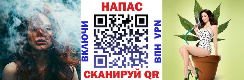наркота  Балашов  MEGA зеркало  Каннабис ГИДРОПОН 